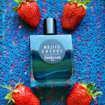 عطر ادکلن موهیتو چیپر پیر گیوم پاریس - Mojito Chypre Pierre Guillaume Paris - بررسی، قیمت و خرید