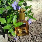 عطر ادکلن نات بوتگا ونتا - Knot Bottega Veneta - بررسی، قیمت و خرید