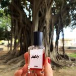عطر ادکلن لَست لش - Lust Lush - بررسی، قیمت و خرید