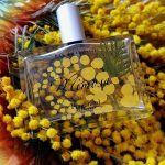عطر ادکلن میموسا فراگنارد - Mimosa Fragonard - بررسی، قیمت و خرید