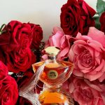 عطر ادکلن روز پوشن ترنپ - Rose Potion TRNP - بررسی، قیمت و خرید