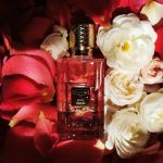 عطر ادکلن دویل تندر اِکس نیهِلو - Devil Tender Ex Nihilo - بررسی، قیمت و خرید