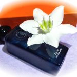 عطر ادکلن اُ دو نرسیس بلو ارمس - Eau de Narcisse Bleu Hermès - بررسی، قیمت و خرید