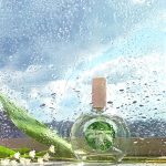 عطر ادکلن چارمینگ اسنودراپ پوکرووکا تریدینگ هاوس - Charming Snowdrop Pokrovka Trading House - بررسی، قیمت و خرید
