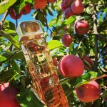 عطر ادکلن باس اورنج هوگو باس - Boss Orange Hugo Boss - بررسی، قیمت و خرید