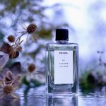 عطر ادکلن نو سون ویولت پرادا - No7 Violette Prada - بررسی، قیمت و خرید