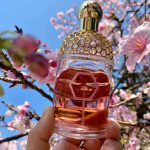 عطر ادکلن آکوا الگوریا چری بلوسوم گرلن - Aqua Allegoria Cherry Blossom Guerlain - بررسی، قیمت و خرید