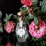 عطر ادکلن کلامور گوتال - Quel Amour! Goutal - بررسی، قیمت و خرید