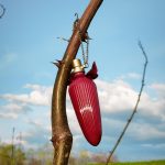عطر ادکلن روج دیتا ون تیز - Rouge Dita Von Teese - بررسی، قیمت و خرید