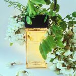 عطر ادکلن دانا کارن گلد اسپارکلینگ دانا کارن - Donna Karan Gold Sparkling Donna Karan - بررسی، قیمت و خرید
