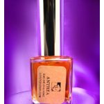 عطر ادکلن آنتیا لردز جستر - Anthea Lord's Jester - بررسی، قیمت و خرید
