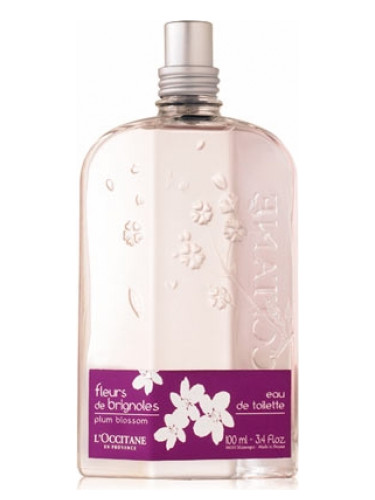 عطر ادکلن فلور د بریگنول لوکسیتان - Fleurs de Brignoles (Plum Blossom) L'Occitane en Provence - بررسی، قیمت و خرید