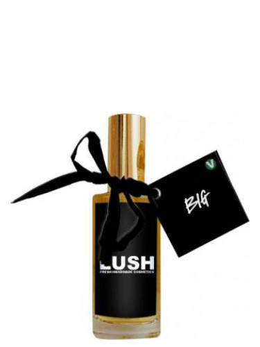 عطر ادکلن بیگ لاش - Big Lush - بررسی، قیمت و خرید