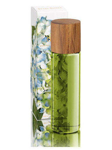 عطر ادکلن ایندیگو داینا دکر - Indigo DayNa Decker - بررسی، قیمت و خرید
