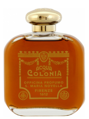 عطر ادکلن آمبره سانتا ماریا نوولا - Ambra Santa Maria Novella - بررسی، قیمت و خرید