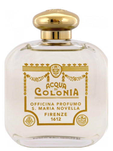 عطر ادکلن لاواندا آمبراتا سانتا ماریا نوولا - Lavanda Ambrata Santa Maria Novella - بررسی، قیمت و خرید