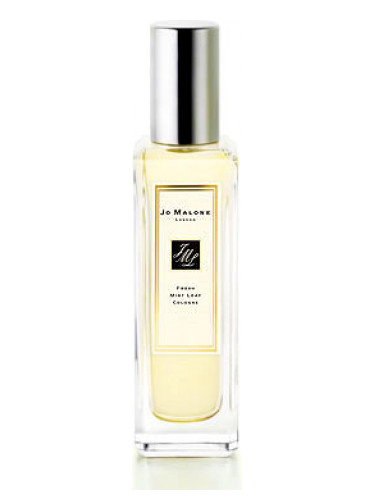 عطر ادکلن فِرِش مینت لیف جو مالون لندن - Fresh Mint Leaf Jo Malone London - بررسی، قیمت و خرید