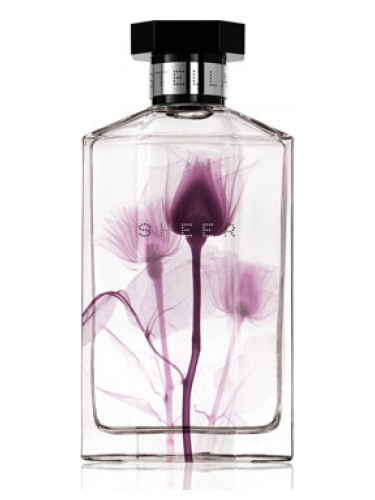 عطر ادکلن شیر استلا دو هزار و یازده استلا مک‌کارتنی - Sheer Stella 2011 Stella McCartney - بررسی، قیمت و خرید
