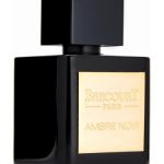 عطر ادکلن آمبر نویر بریکورت - Ambre Noir Brecourt - بررسی، قیمت و خرید