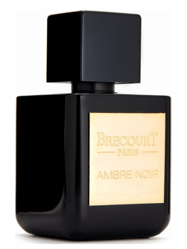 عطر ادکلن آمبر نویر بریکورت - Ambre Noir Brecourt - بررسی، قیمت و خرید