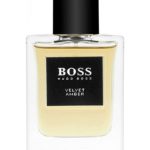 عطر ادکلن باس دِ کالکشن وِلوِت اَمبر هوگو بوس - BOSS The Collection Velvet & Amber Hugo Boss - بررسی، قیمت و خرید