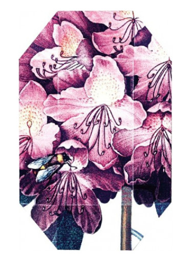 عطر ادکلن پرینت کالکشن استلا صفر یک (دو هزار و یازده) استلا مک‌کارتنی - Print Collection Stella 01 (2011) Stella McCartney - بررسی، قیمت و خرید