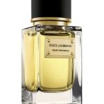 عطر ادکلن ولوت پاچولی دولچه اند گابانا - Velvet Patchouli Dolce&Gabbana - بررسی، قیمت و خرید