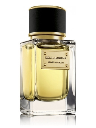عطر ادکلن ولوت پاچولی دولچه اند گابانا - Velvet Patchouli Dolce&Gabbana - بررسی، قیمت و خرید