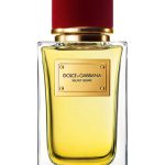عطر ادکلن ولوت دیزایر دولچه اند گابانا - Velvet Desire Dolce&Gabbana - بررسی، قیمت و خرید