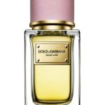 عطر ادکلن ولوت لاو دولچه اند گابانا - Velvet Love Dolce&Gabbana - بررسی، قیمت و خرید
