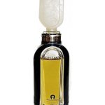 عطر ادکلن سه موآ اتین آینر - C'est Moi Etienne Aigner - بررسی، قیمت و خرید