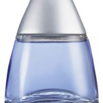 عطر ادکلن بلو راش آوون - Blue Rush Avon - بررسی، قیمت و خرید