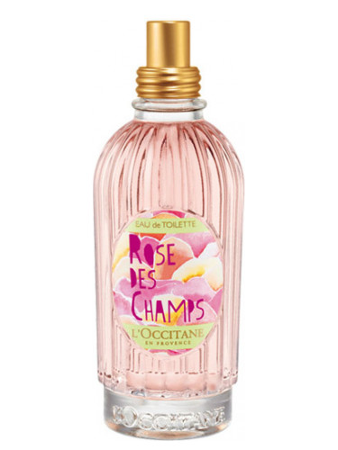 عطر ادکلن رُز د شَن لوکیتان - Rose des Champs L'Occitane en Provence - بررسی، قیمت و خرید