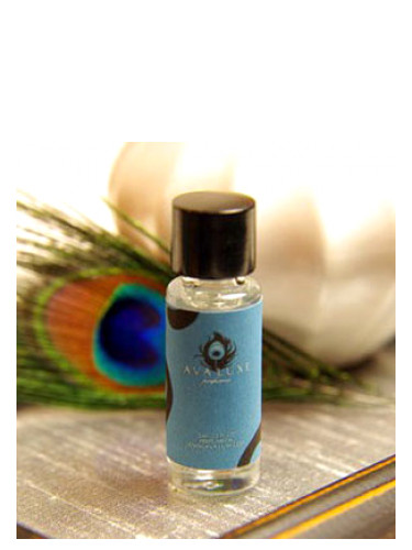 عطر ادکلن کاما آوا لوکس - Kama Ava Luxe - بررسی، قیمت و خرید