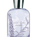 عطر ادکلن لاوندر کزوِل مَسی - Lavender Caswell Massey - بررسی، قیمت و خرید