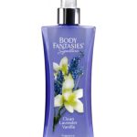 عطر ادکلن بادی فنتسیز سیگنیچر کلین لاوندر وانیلا پرفیومز د کور - Body Fantasies Signature Clean Lavender Vanilla Parfums de Coeur - بررسی، قیمت و خرید