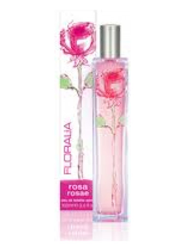 عطر ادکلن رزا روزی می‌فر - Rosa Rosae Mayfair - بررسی، قیمت و خرید