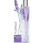 عطر ادکلن لاوندا هربا می‌فر - Lavenda Herba Mayfair - بررسی، قیمت و خرید