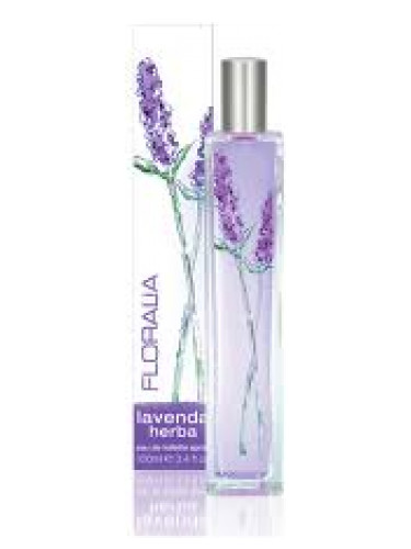 عطر ادکلن لاوندا هربا می‌فر - Lavenda Herba Mayfair - بررسی، قیمت و خرید