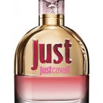 عطر ادکلن جاست کاوالی روبرتو کاوالی - Just Cavalli Roberto Cavalli - بررسی، قیمت و خرید