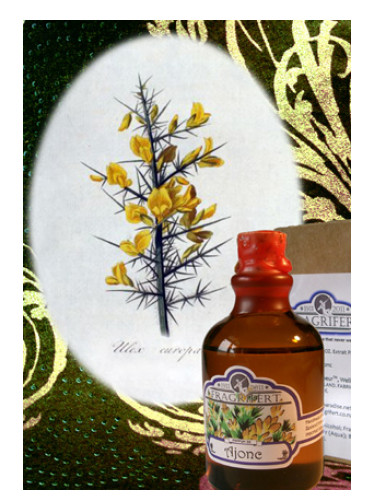 عطر ادکلن آژونک فرگریفرت پرفیومر - Ajonc Fragrifert Parfumeur - بررسی، قیمت و خرید
