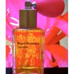 عطر ادکلن نایت بلومینگ سریوس پراگون پرفیومز - Night Blooming Cereus Paragon Perfumes - بررسی، قیمت و خرید