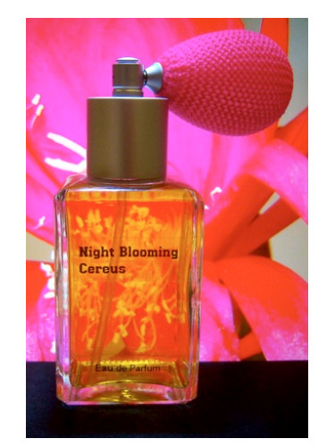 عطر ادکلن نایت بلومینگ سریوس پراگون پرفیومز - Night Blooming Cereus Paragon Perfumes - بررسی، قیمت و خرید