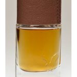عطر ادکلن وینتج امریکن ایگل - Vintage American Eagle - بررسی، قیمت و خرید