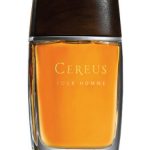 عطر ادکلن سریوس نامبر چهارده سریوس - Cereus No. 14 Cereus - بررسی، قیمت و خرید