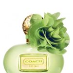 عطر ادکلن کُچ پاپی سیتِرین بلاسِم کوچ - Coach Poppy Citrine Blossom Coach - بررسی، قیمت و خرید