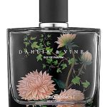 عطر ادکلن دالیا اند واینز نست - Dahlia & Vines Nest - بررسی، قیمت و خرید