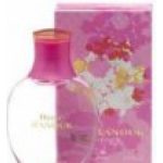 عطر ادکلن روز دانوک آنتونیو پوگ - Rose d'Anouk Antonio Puig - بررسی، قیمت و خرید