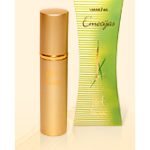 عطر ادکلن آرت ایموشنز دزینتارس - ART Emocijas (ART Emotions) Dzintars - بررسی، قیمت و خرید