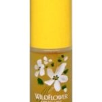 عطر ادکلن وایلد فلاور آلیسا اشلی - Wildflower Alyssa Ashley - بررسی، قیمت و خرید